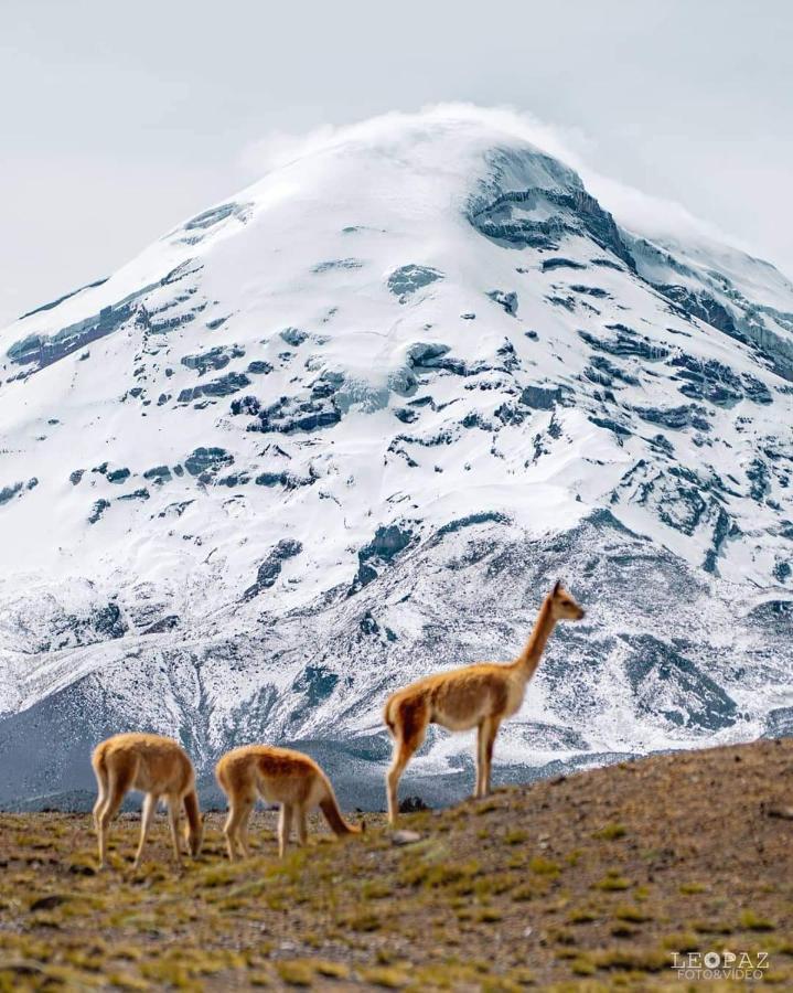 Hotel Bonaventure Quito Zewnętrze zdjęcie